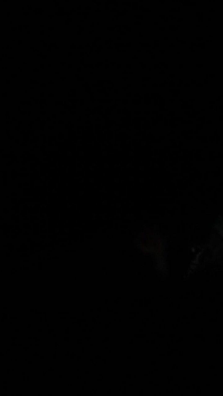 Promo Tempat Sepatu 8 Bunga Beli 1 Gratis 1