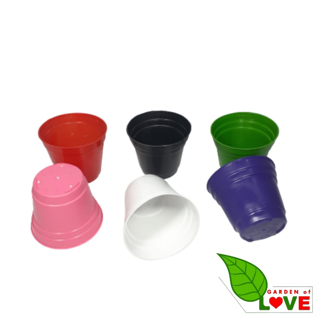 96pcs Pot Tanpa Lubang 8cm By Garden Of Love Pot Es Krim Ice Cream Pot Warna Warni Kecil 8 Cm Kaktus
