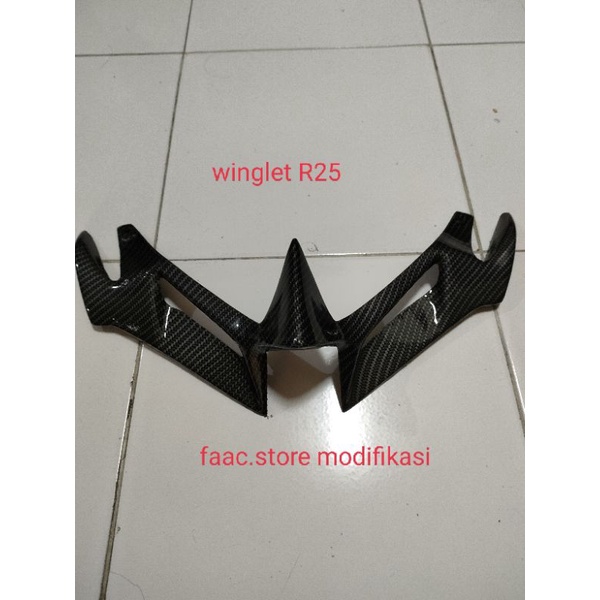 winglet r25 carbon