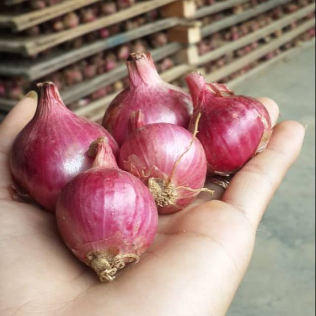Bawang merah bohai lokal Temanggung, 500gram-1kg