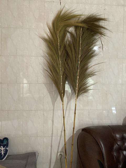 Bunga Kering Bundle Isi 2 /daun Kering /bunga Hias /natural Leaf