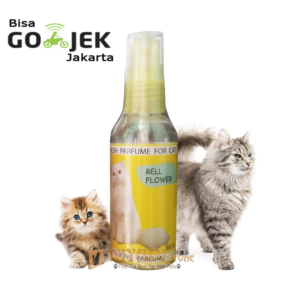 Paris Parfum Spray Minyak Wangi Parfume Kucing kitten