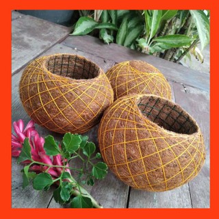 Pot Sabut  Kelapa  Pot Serabut Kelapa  Kokedama  Pot Anggrek 