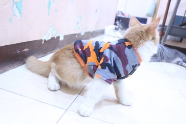 Kaos army dasar warna orange lucu untuk kucing dan anjing / baju kucing murah size S M L XL