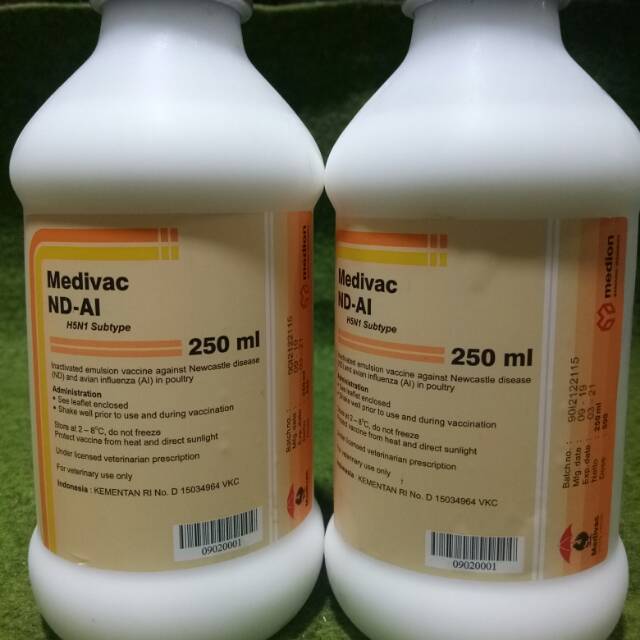 

vaksin fluburung / pencegah flu burung / pencegah aratan tetelo