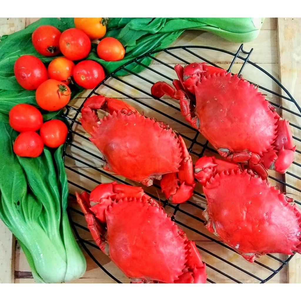 

Kepiting Satu Ekor