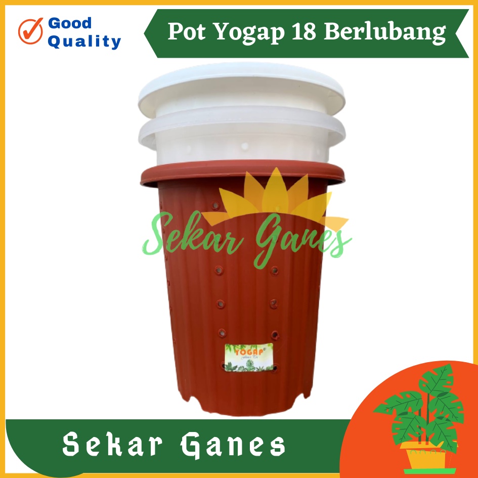 Pot Yogap 18 Putih Bening Transparan Merah Bata Merah Coklat Terracota Terracotta Berlubang POT BUNGA YOGAP 18 DIAMETER 21 cm BERLUBANG