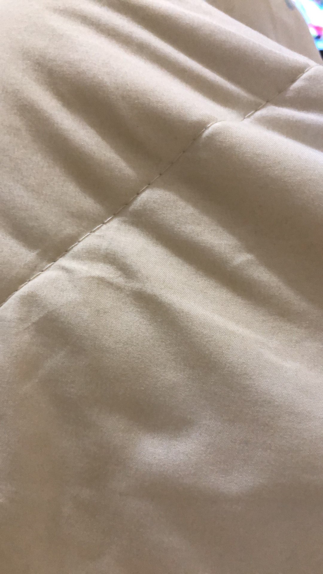 Wp Project Walldecor Hiasan Dinding Shabby Chic Bunga Anggrek