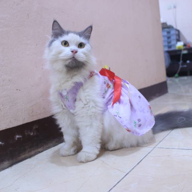 Dress ungu muda motif bunga lucu untuk kucing dan anjing / baju kucing murah size S-XL