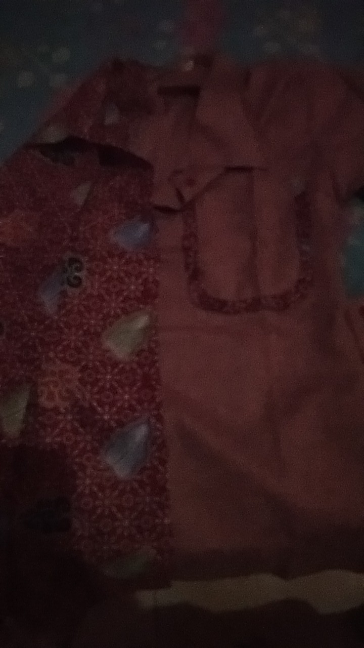 Atasan Batik Wanita Lilliana Leaf Busui 7203