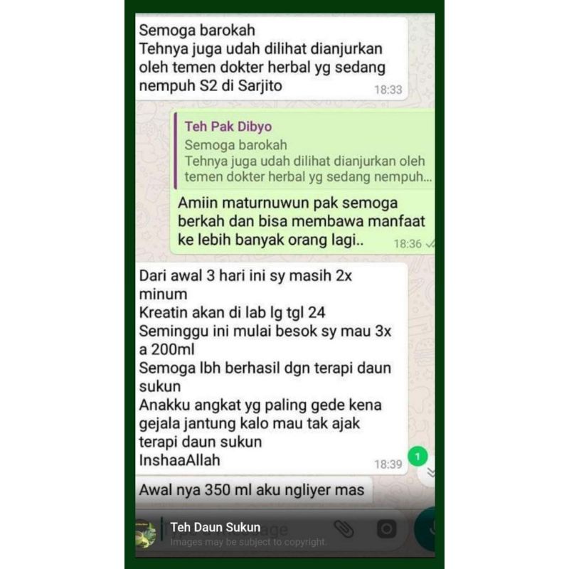 COD Teh Sehat Teh Daun Sukun Kualitas Premium 100% Teh Kesehatan Daun Sukun Asli Jogja