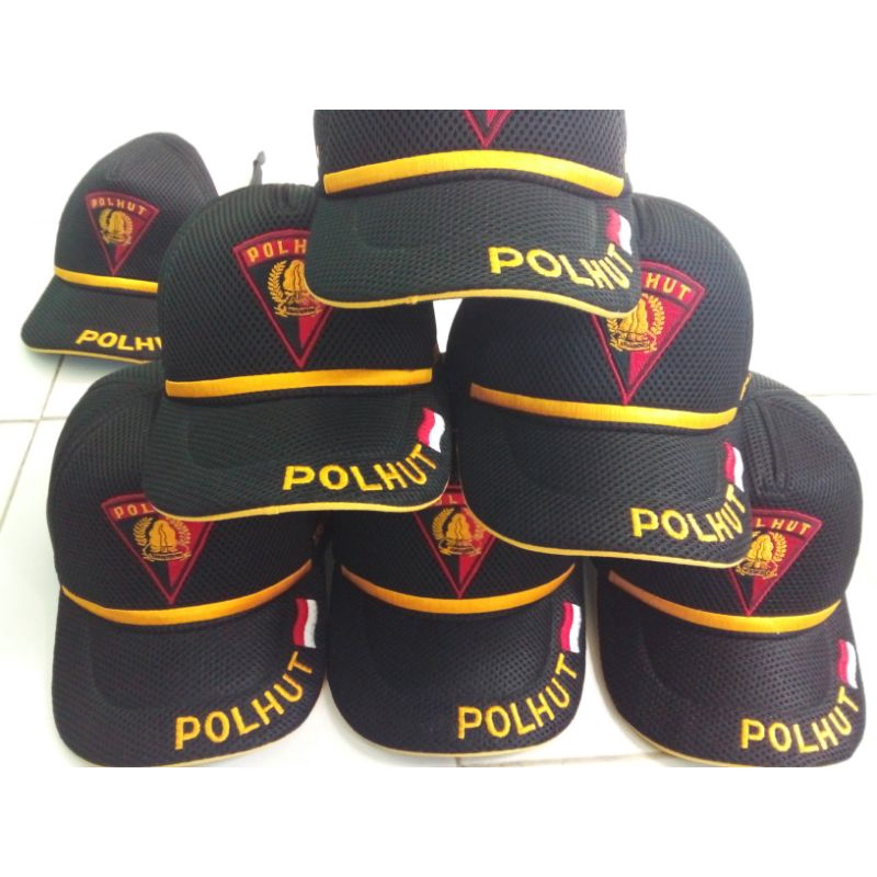 Topi polhut