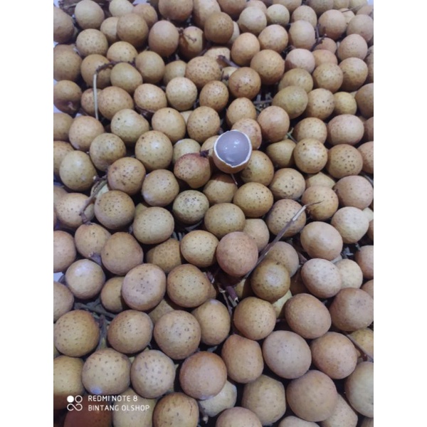 

Klengkeng gold madu
