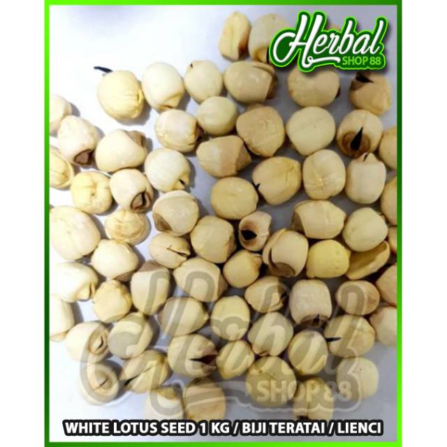 

White Lotus Seed 1 kg / Biji Teratai / Lienci