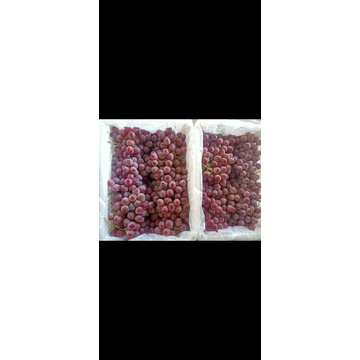 

anggur china