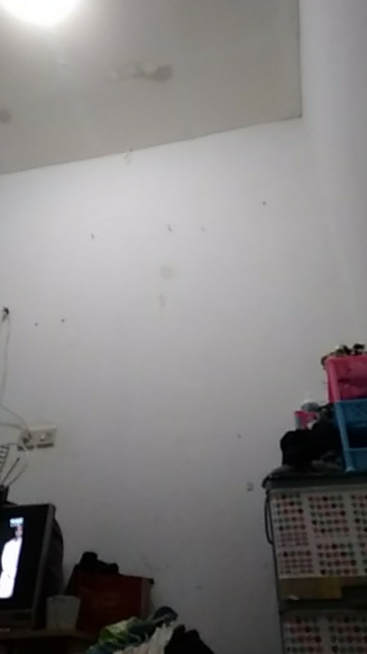 Mug Electric - Teko Ketel Pemanas Air Panas Ukuran Besar 2 Liter