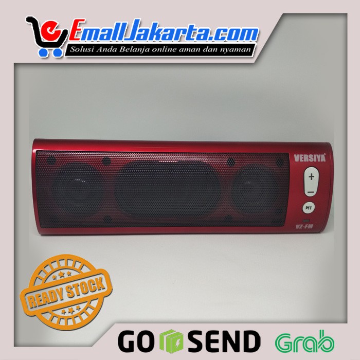 Speaker Versiya VZ-FM