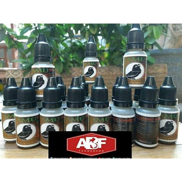 

TERKINI! SEPATUKARRIMOROUTDOR