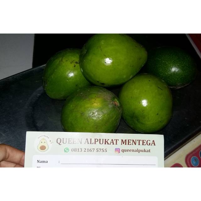 

Alpuket mentega cerry