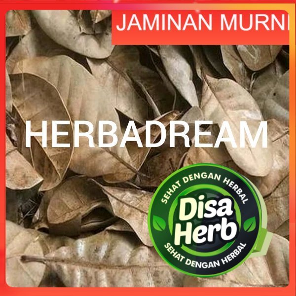 

DAUN KETAPANG KERING 100 GRAM - Terminalia Catappa - MURNI - JSR - REMPAH