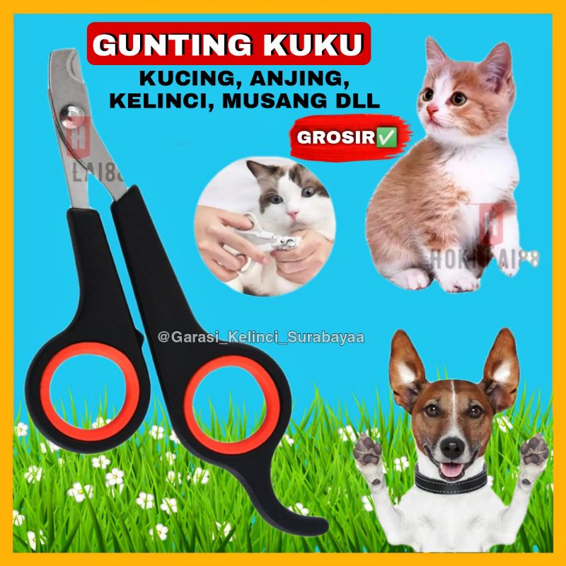 GPSS- Gunting Kuku Kucing Anjing Kelinci Musang Gunting Kuku Anjing Gunting Kuku Kelinci Gunting Kuku Musang Gunting Kuku Grooming Mainan Kucing Mainan Anjing Mainan Kelinci Kalung Anjing Kalung Kelinci Kalung Musang Harness Anjiing Pet Nail Clipper