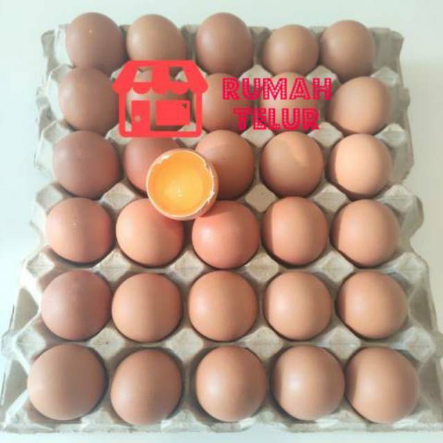 

RB Telur Ayam Negeri 30 Butir