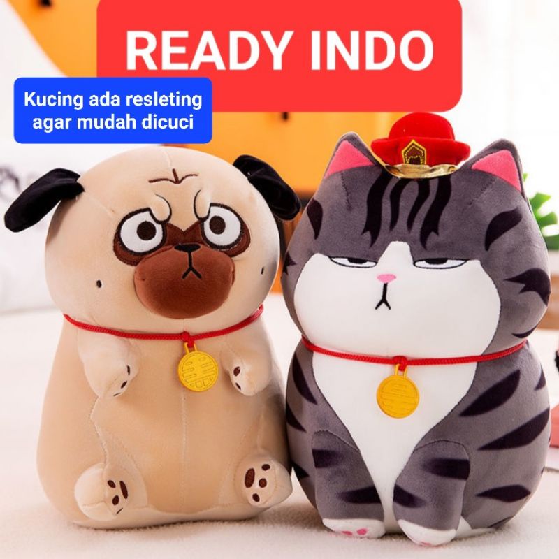boneka cat emperor kucing goko bazahe jepang dog jumbo import anjing pug Furyu cat belang gemuk plus