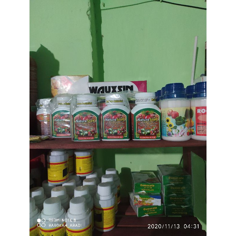 Nature Stek kemasan REPACK 10g