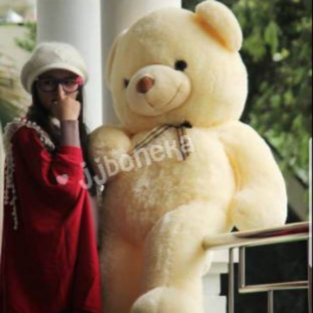 Teddy Bear Gembul 150cm