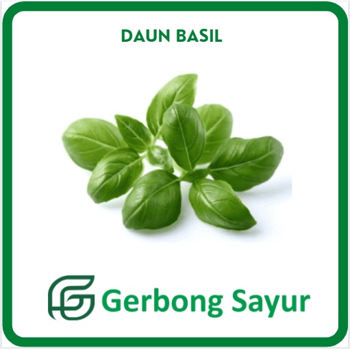 

Daun Basil Segar 1 Ikat