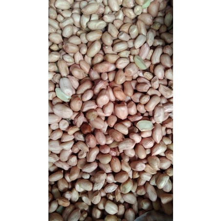 

Kacang tanah india 500 gramm