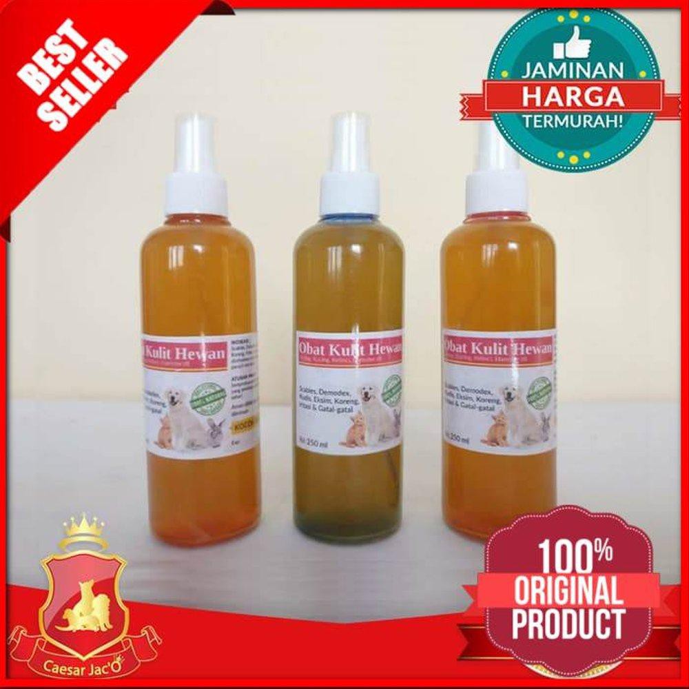 Spray Obat Jamur Kutu Anjing Kucing Terbaik Terbaru Shopee Indonesia