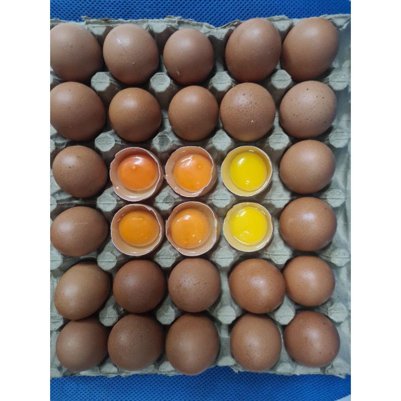 

TELUR AYAM OMEGA 3 FRESH PREMIUM PER KG