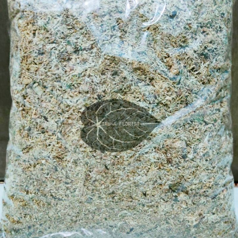 Media Tanam Spagnum Moss Chile 5KG kering