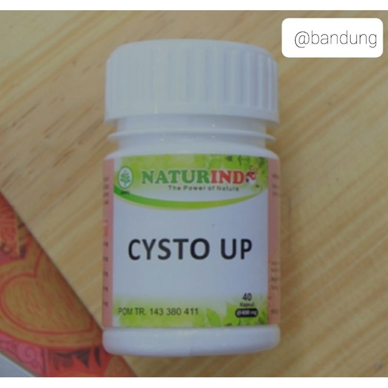 Obat Herbal CYSTO UP Naturindo (Spesial Myom & Kista)
