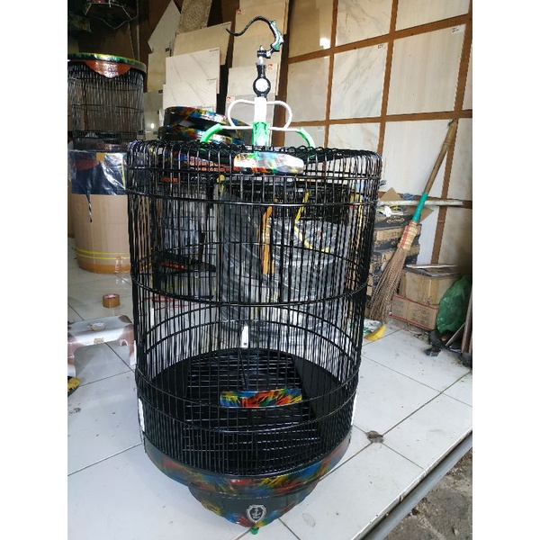 sangkar murai batu kandang murai batu variasi sangkar kandang murai batu