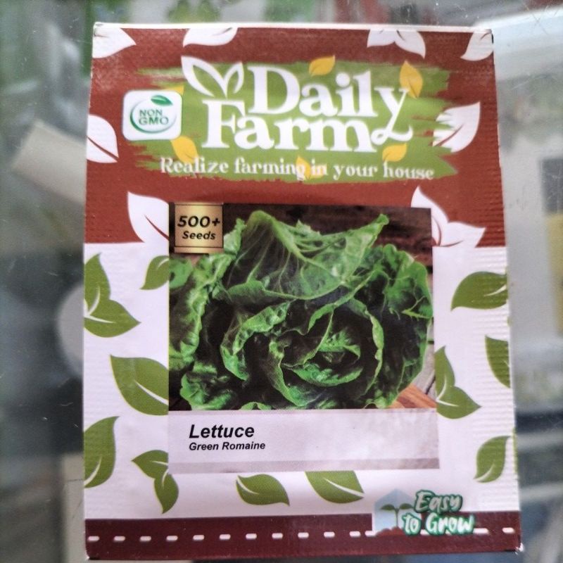 Benih bibit Selada Romaine Lettuce Green Romaine isi 500 butir