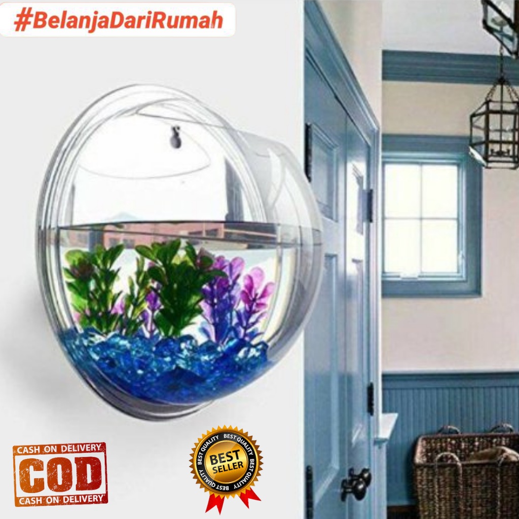 Aquarium Dinding Tempel / Aquarium Gantung Tempel / Aquarium Ikan Cupang  / Aquarium Tanaman