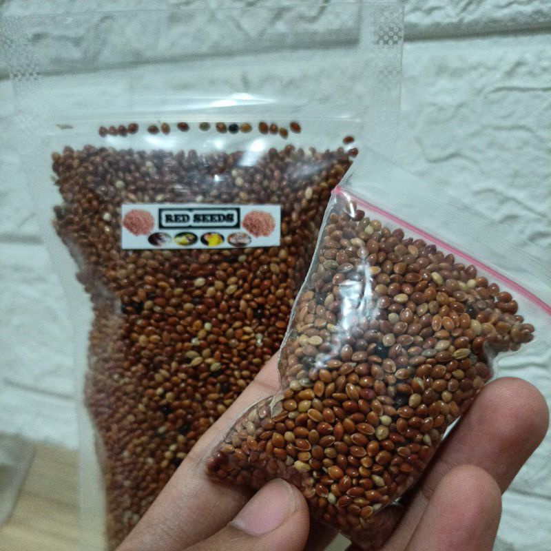 Red Seed Milet Millet MINI Pack Biji Sehat Makanan Hamster, Burung dan penyuka biji-bijian Merah