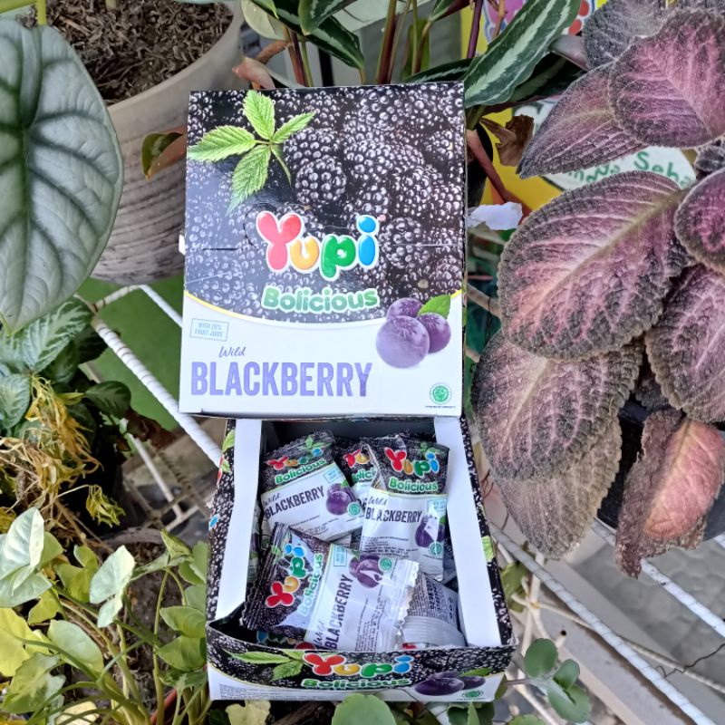 PERMEN YUPI BOX ANEKA RASA ISI 24PCS