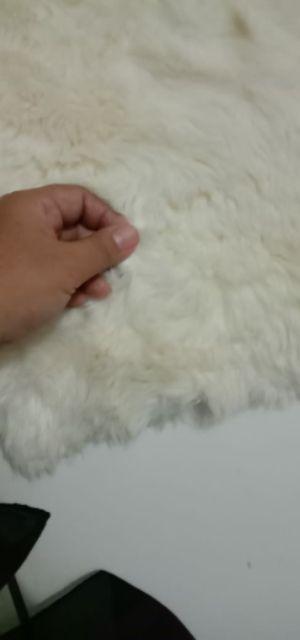 Jual Kain Bulu Panjang/korea Lebar 130cm Cocok Untuk Ruangan Tamu