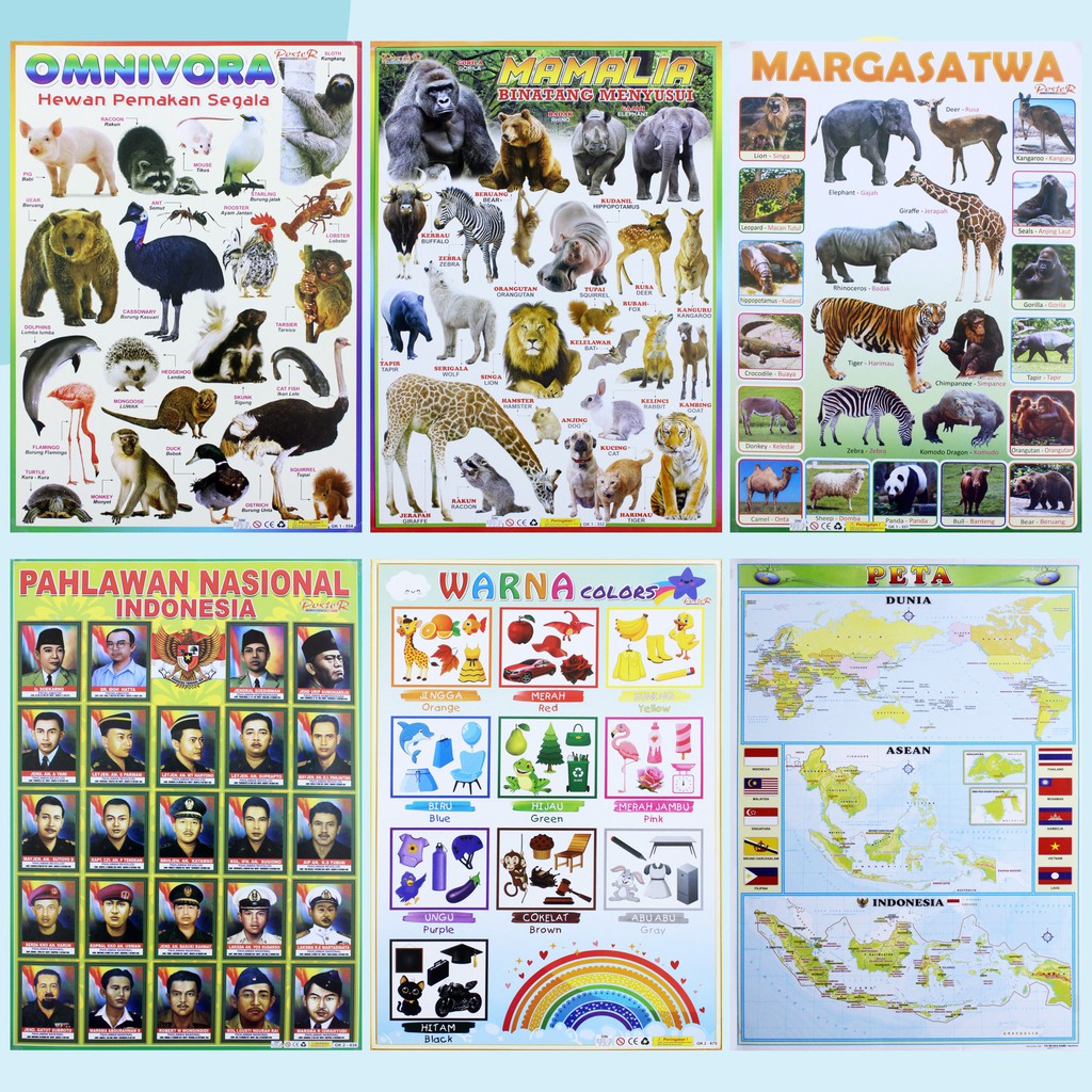 Poster Edukasi Anak / Gambar Edukasi Anak / Poster Anak Lembaran Seri Margasatwa Omnivora Mamalia Wa