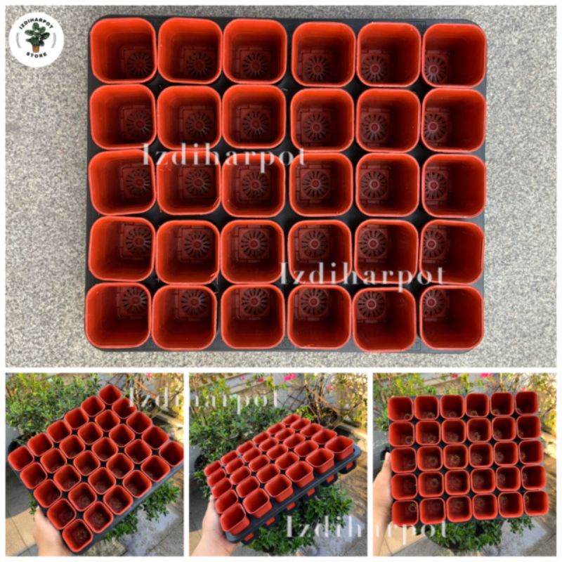 1 SET TRAY LUBANG 30 + POT NKT KOTAK 5CM MERAH BATA 30 PCS | TRAY SEMAI BIBIT