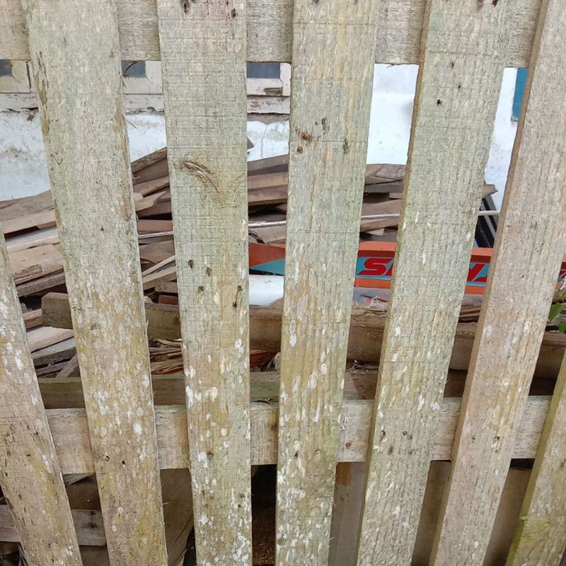 

packing kayu