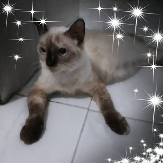 yantiannuranto