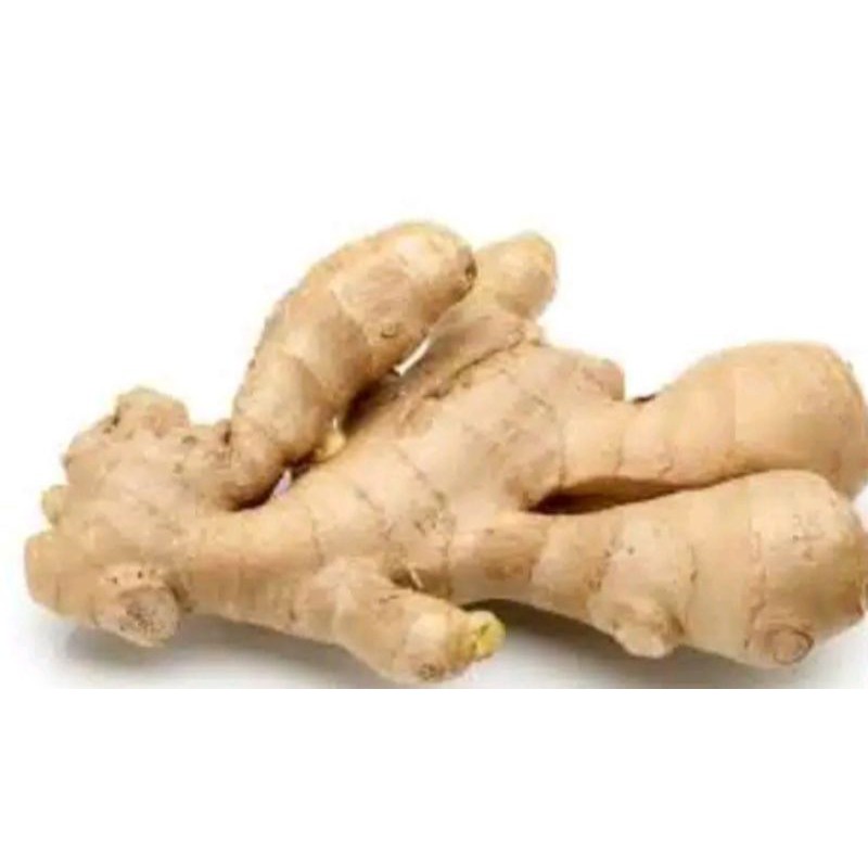 

jahe 250gr