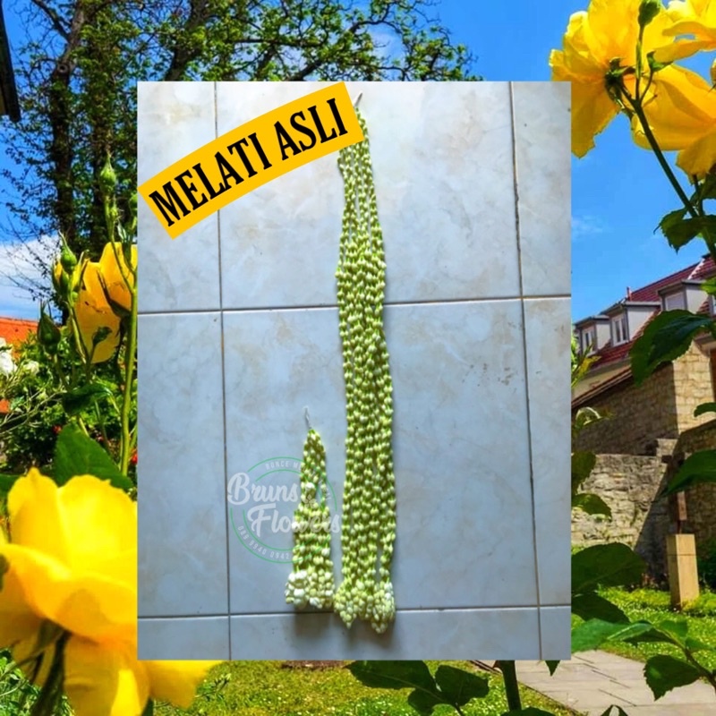 RONCEAN MELATI ADAT SUNDA CEWE // MELATI ASLI