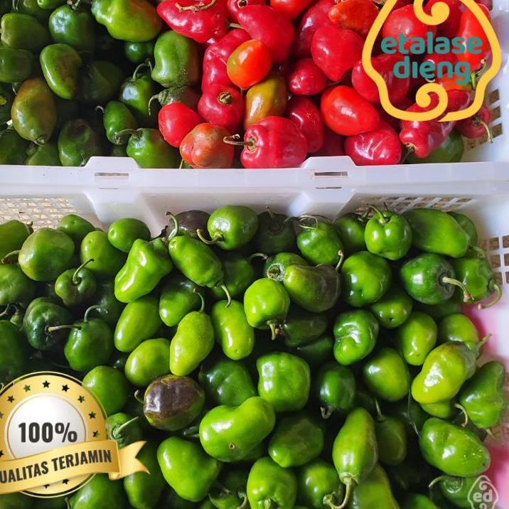 

⛄Price Pool Cabe / Cabe Gendot / Cabe Dieng / Cabe Gendut / Habanero / Cabe Fresh / Cabai / 1Kg / 0,5 Kg | BIG SALE | New event | Splash