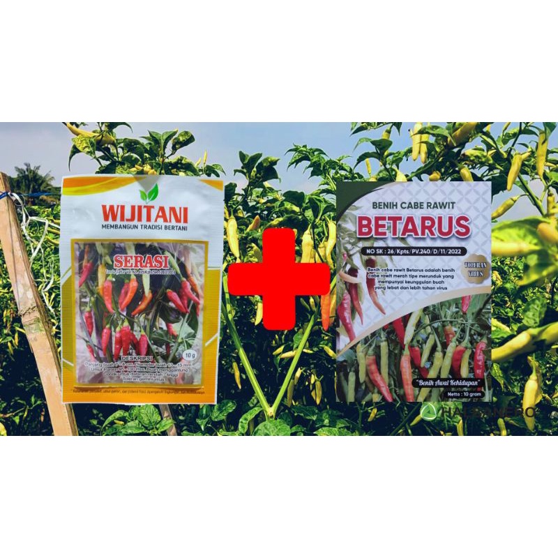 COD√ Paket Cabai Rawit SERASI Plus BETARUS 10gr