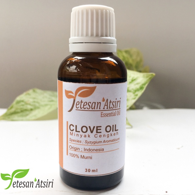 30ml pure essential oil clove - cengkeh clove essential esensial essensial oil aromatherapy aromaterapi diffuser pewangi pengharum ruangan humidifier oil burner minyak cengkeh asli murni obat sakit gigi minyak cengkeh murni penyulingan tanpa campuran